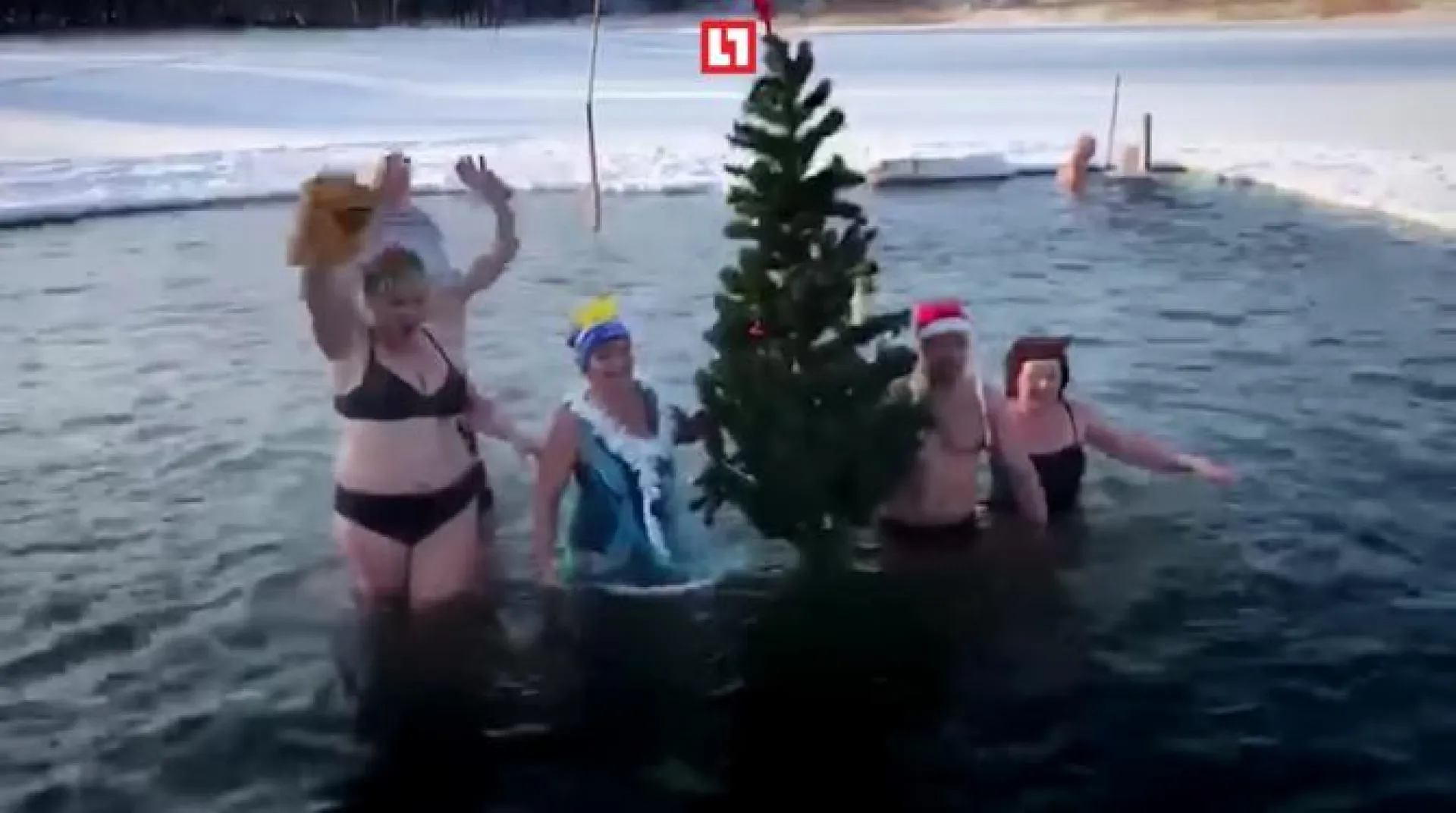 Алтайские моржи устроили праздничный заплыв Алтайские моржи устроили праздничный заплыв