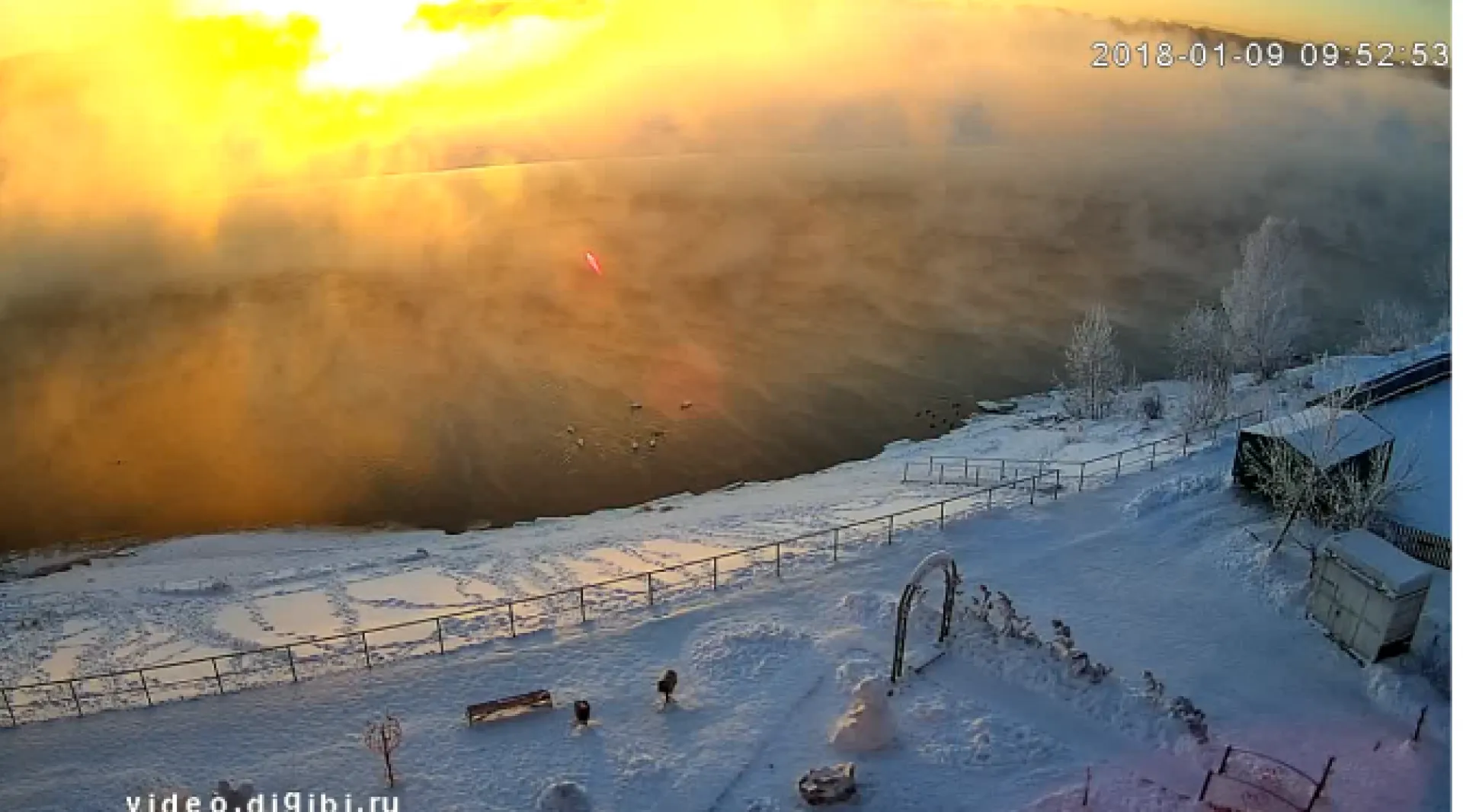 Веб-камеры: волшебный рассвет с лебедями в посёлке Молодёжный Веб-камеры: волшебный рассвет с лебедями в посёлке Молодёжный