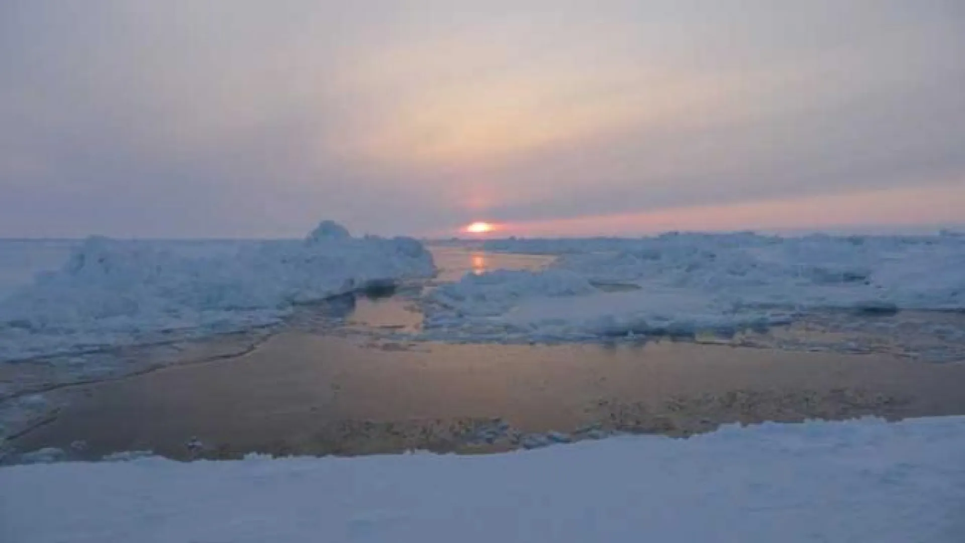 Девочка утонула в Алтайском крае Девочка утонула в Алтайском крае