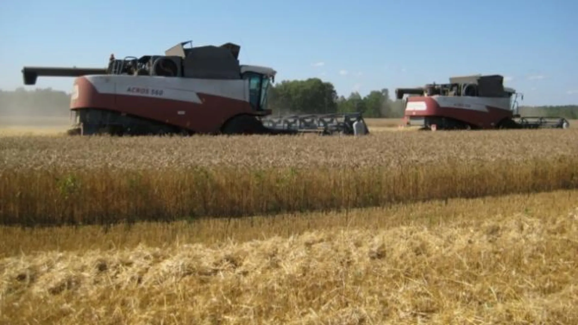 Второй транш погектарных субсидий направлен в Алтайский край Второй транш погектарных субсидий направлен в Алтайский край