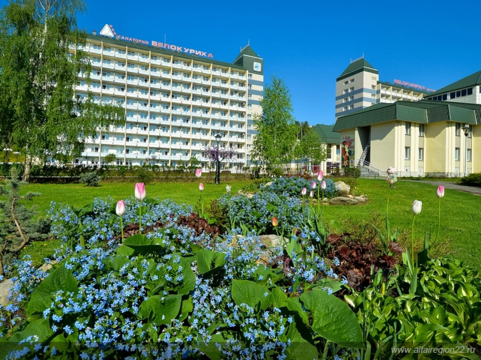 От Жирафа до Колыбели человечества: топ-5 направлений отдыха в Алтайском крае От Жирафа до Колыбели человечества: топ-5 направлений отдыха в Алтайском крае