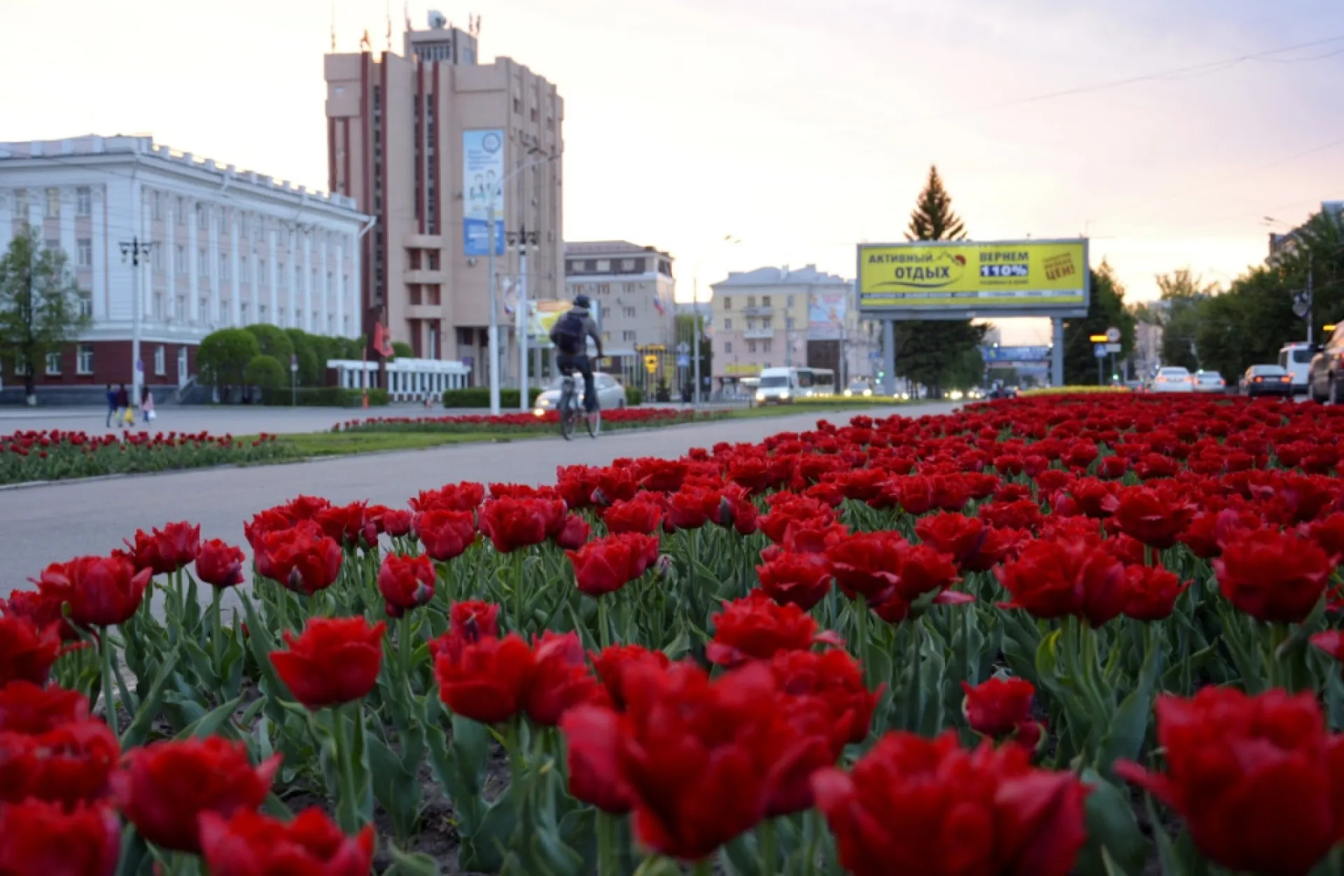 Более 400 тысяч цветов высадят на барнаульских клумбах Более 400 тысяч цветов высадят на барнаульских клумбах