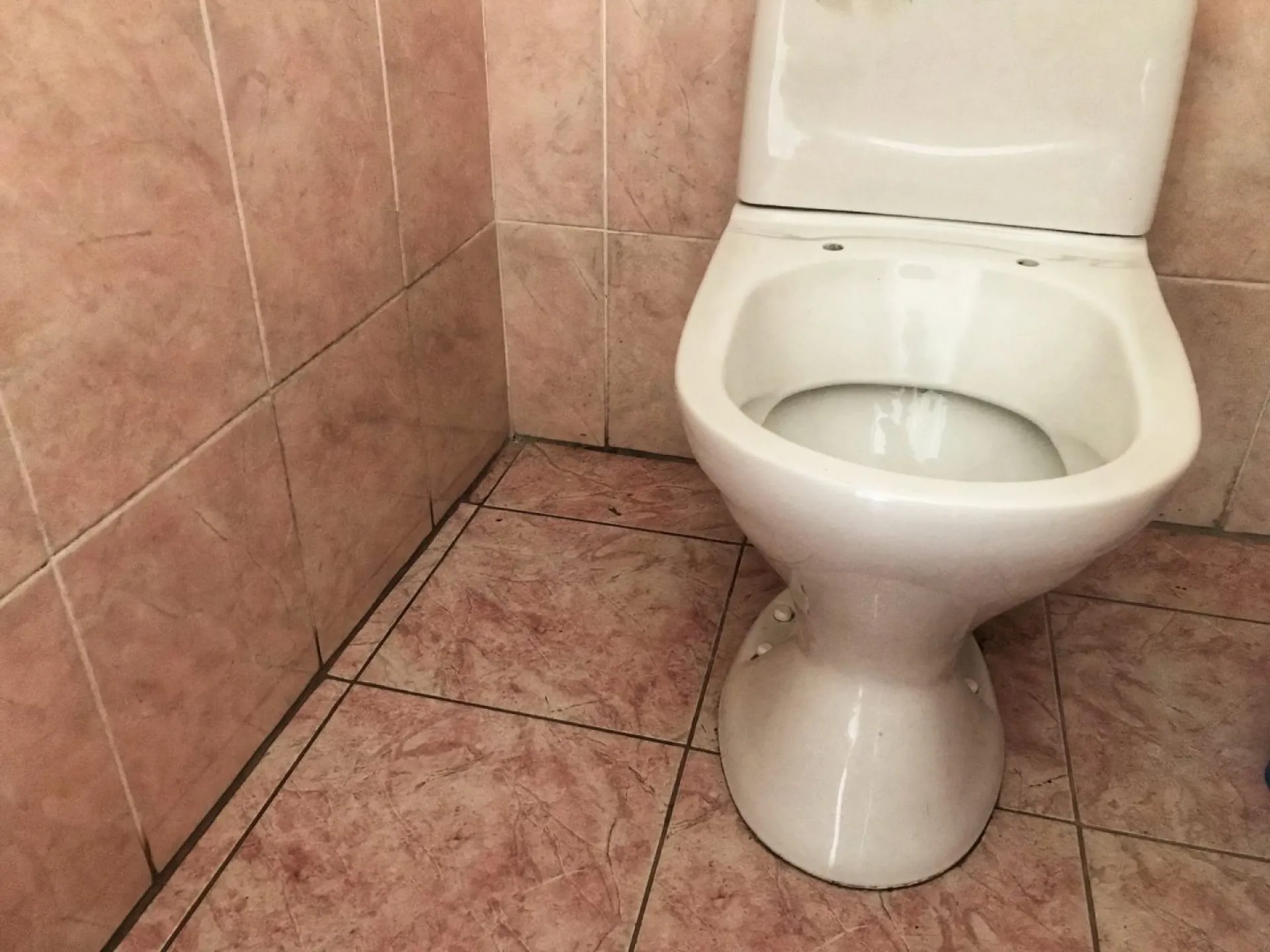 Стало известно, что чаще всего смывают в канализацию барнаульцы Стало известно, что чаще всего смывают в канализацию барнаульцы